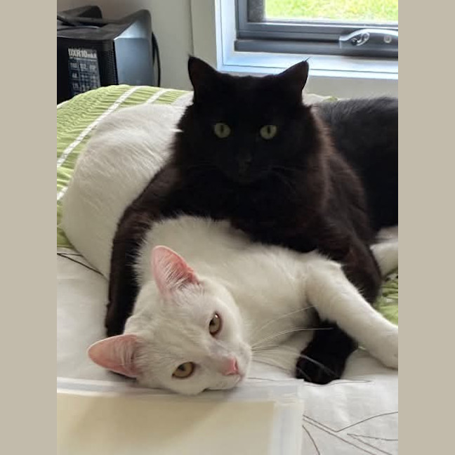 Photo of Lenny / Davey