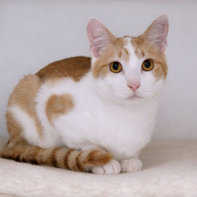 Photo of Fancy Pants