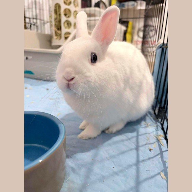 Photo of Kiki