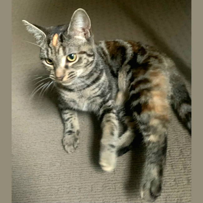 Photo of Selene