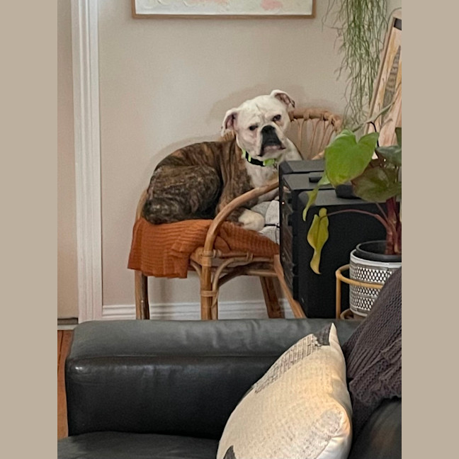 Photo of Bettina