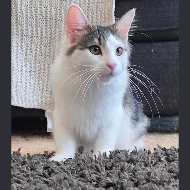Photo of Dotty