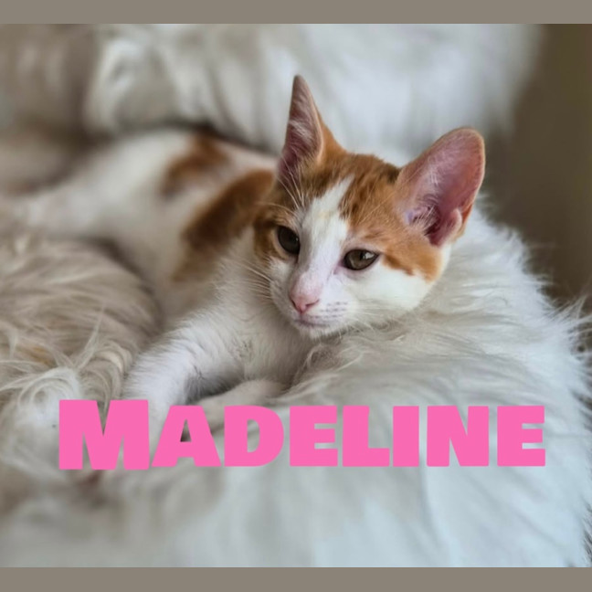 Photo of Madeline