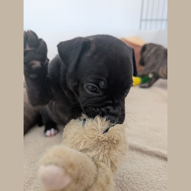 Photo of Zeus