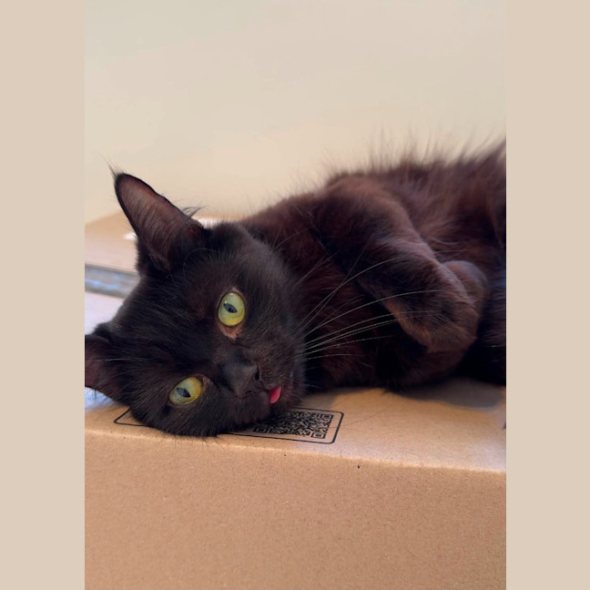 Photo of Mumma Miso