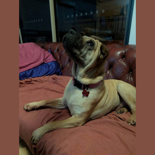 Photo of Bonnie Girl
