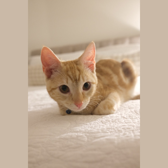 Photo of Winston