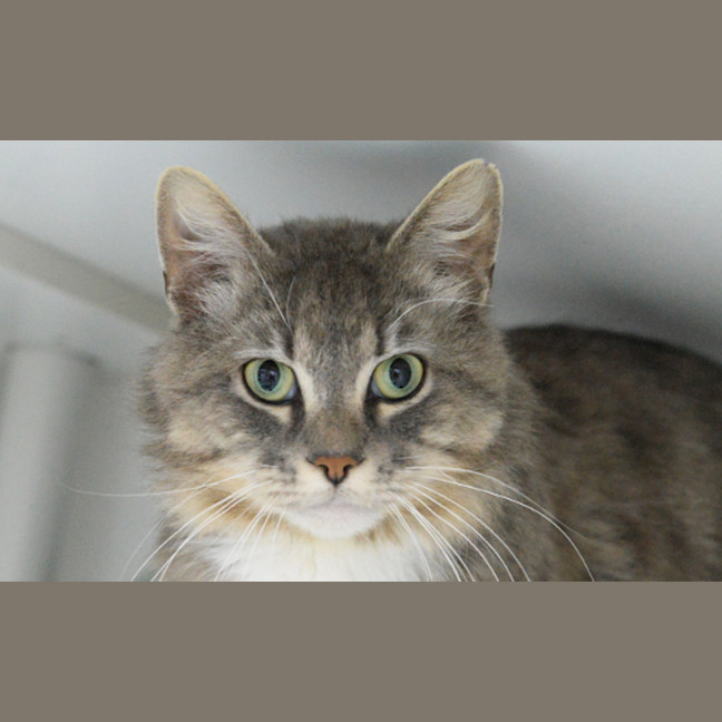 Photo of Renfield