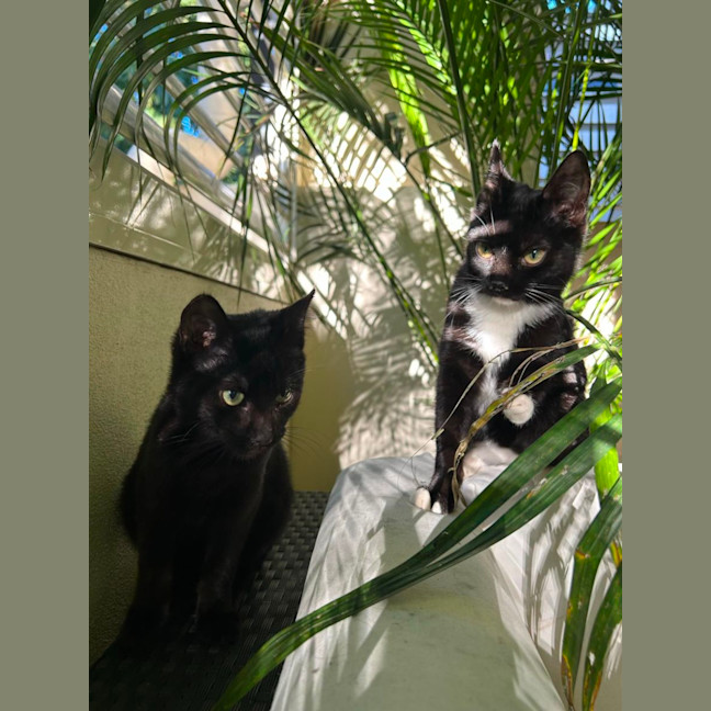 Photo of Miss Frankie