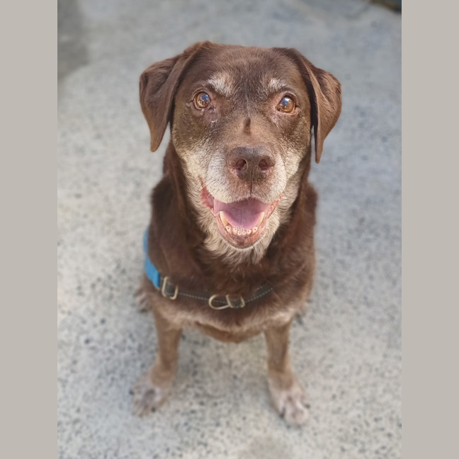 Photo of Molly