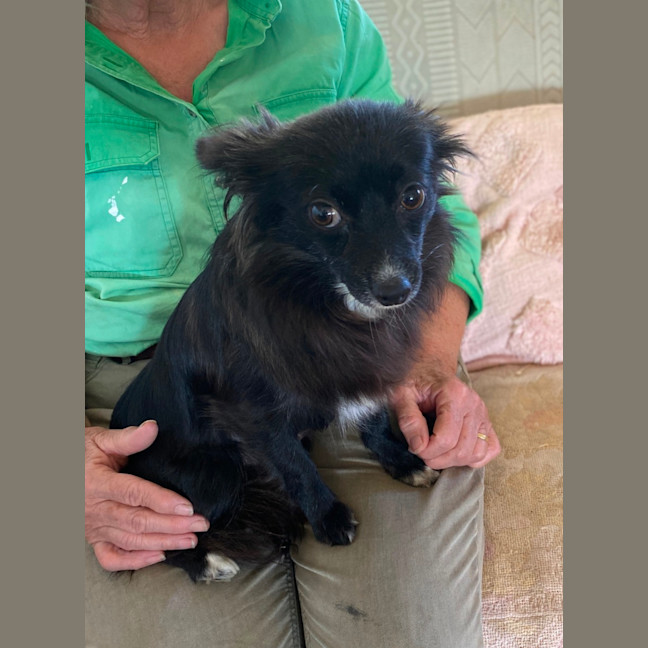 Photo of Tinkerbelle 