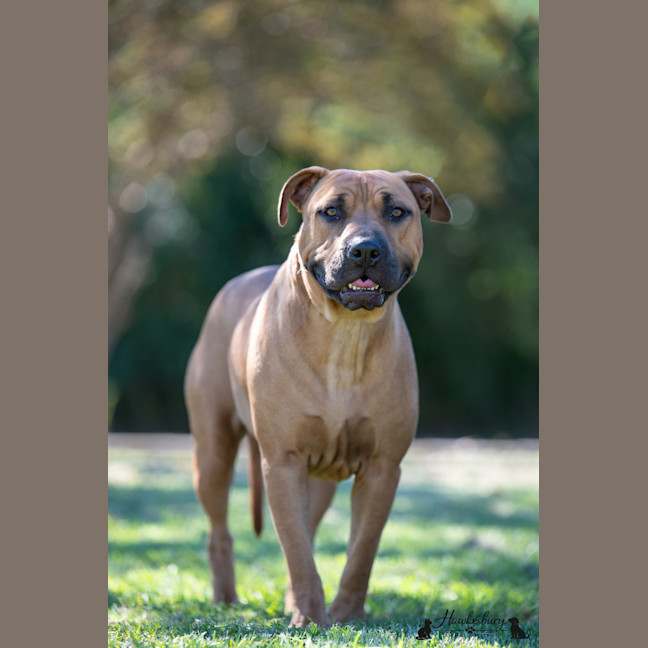 Photo of Shayla