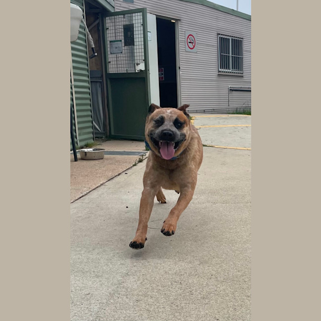 Photo of Max