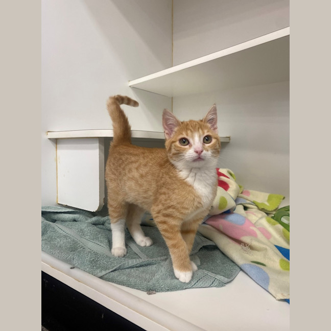 Photo of Gem
