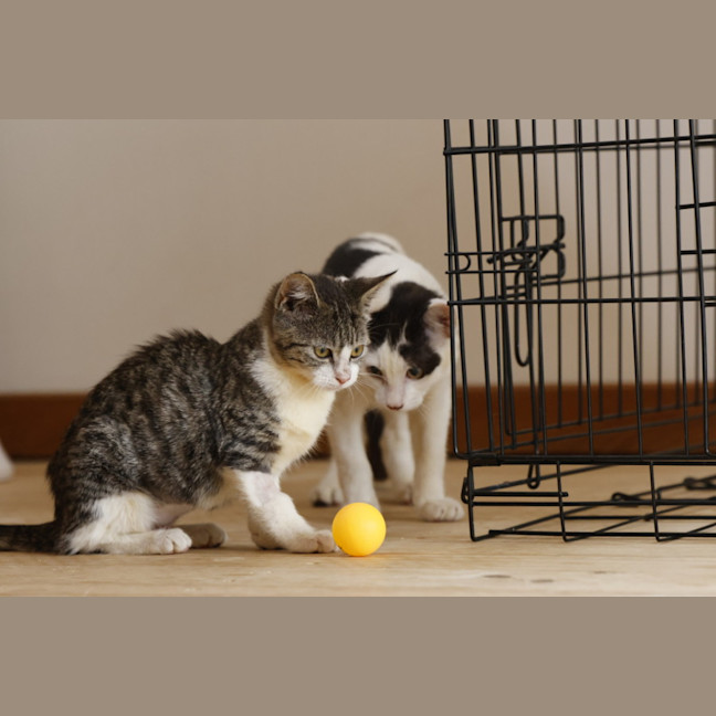 Photo of 💖💖💖Sage, T1 And W💖💖💖