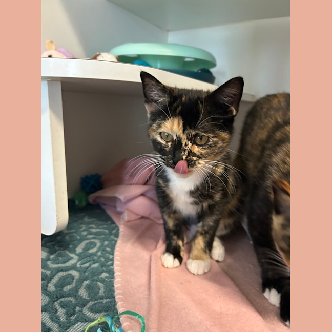 Photo of Jimmy Choo