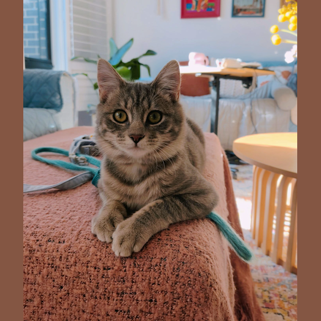 Photo of Millie