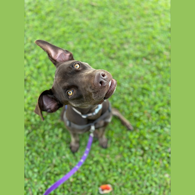 Photo of Georgia
