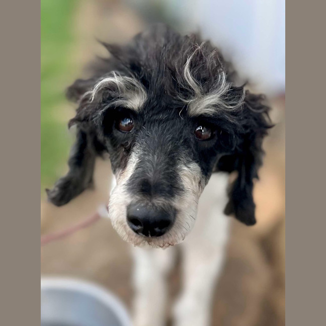 Photo of Molly