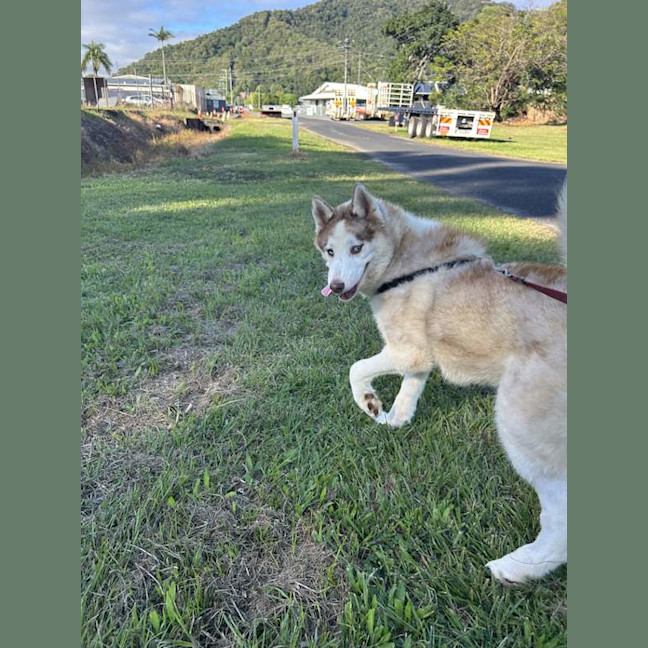 Photo of Zena