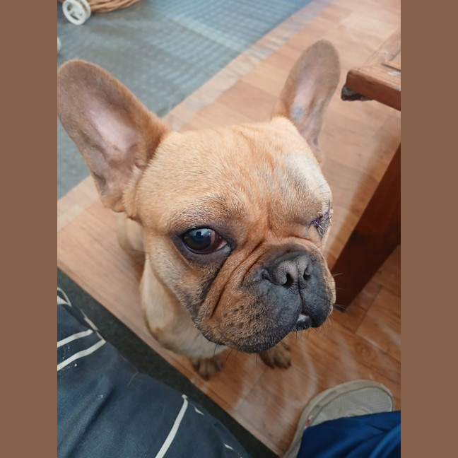 Photo of Chuckycheese
