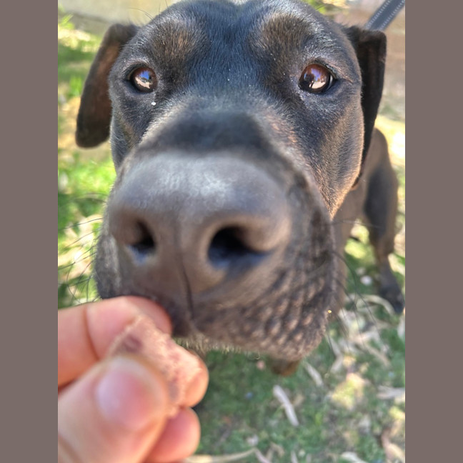 Photo of Lolly
