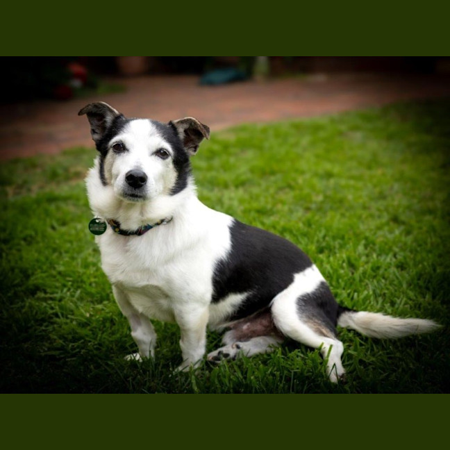 Photo of Laurie Jablonski