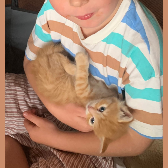 Photo of Sawyer 🐈🐈💙💙