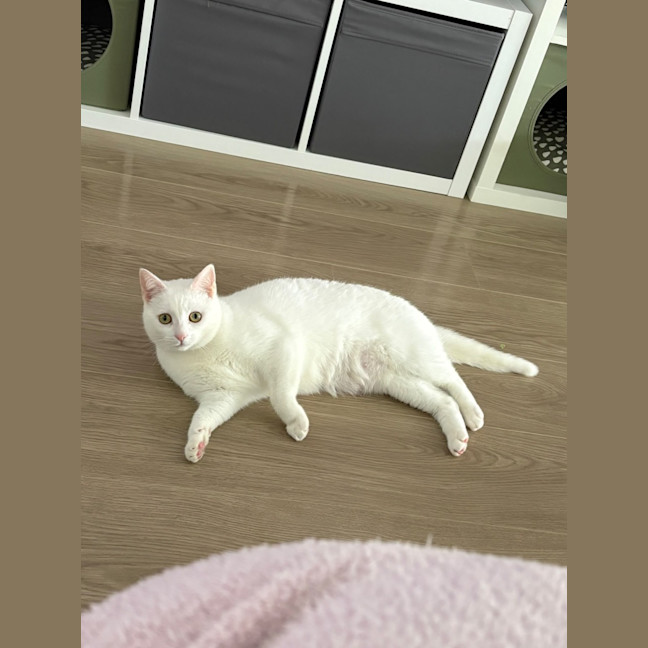 Photo of Yuki