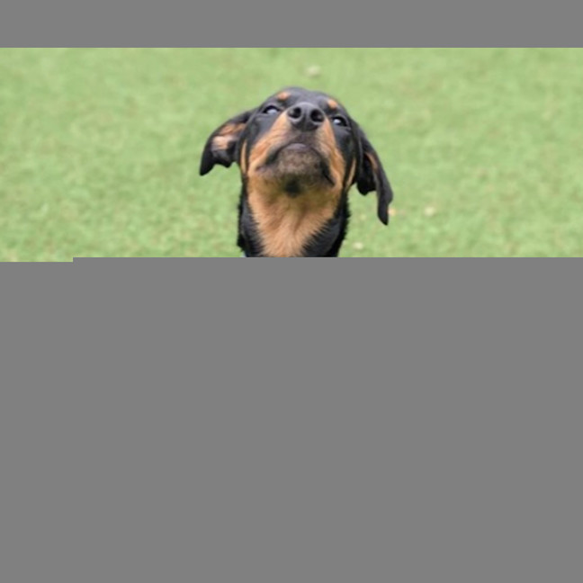 Photo of Ebonie