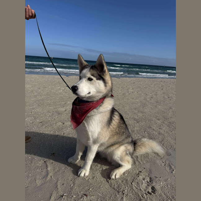 Photo of Karsha (Kay)