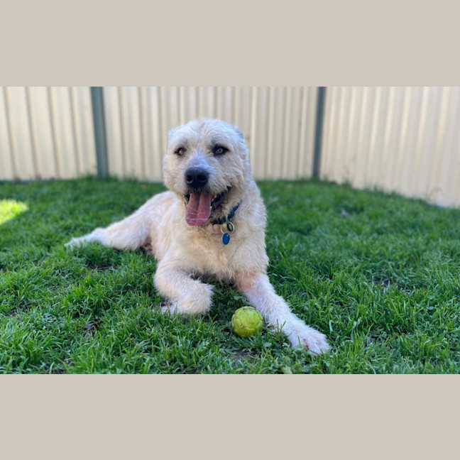 Photo of Marlo