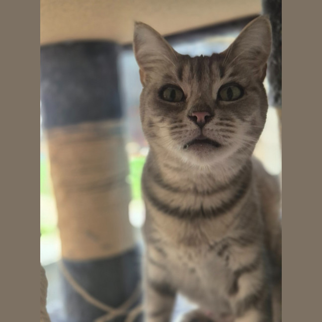 Photo of Cleo
