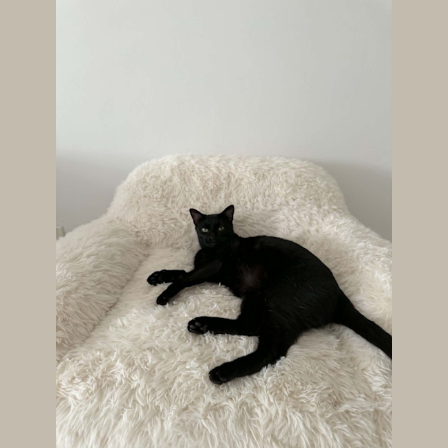 Photo of Claudine