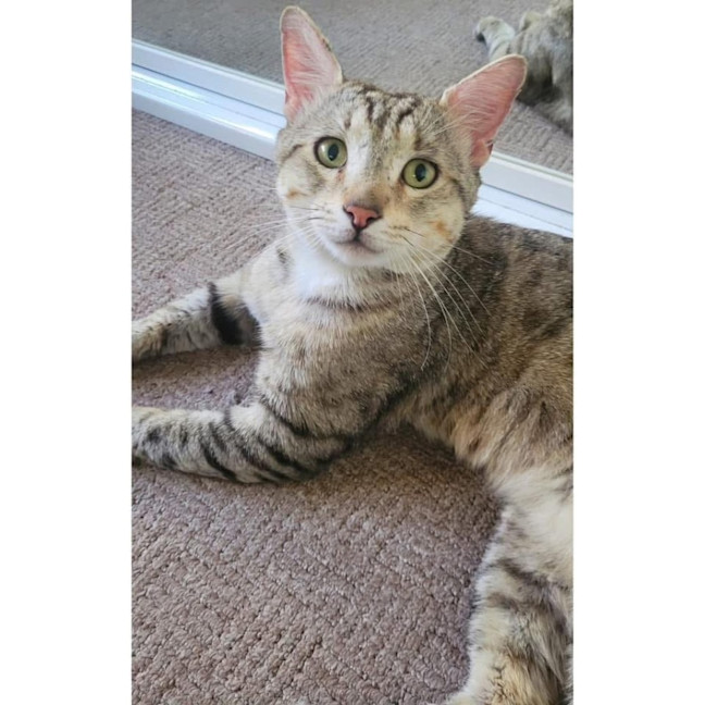 Photo of 11626   Claude