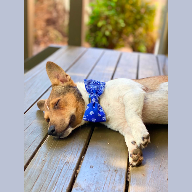 Photo of Kevin Arnold