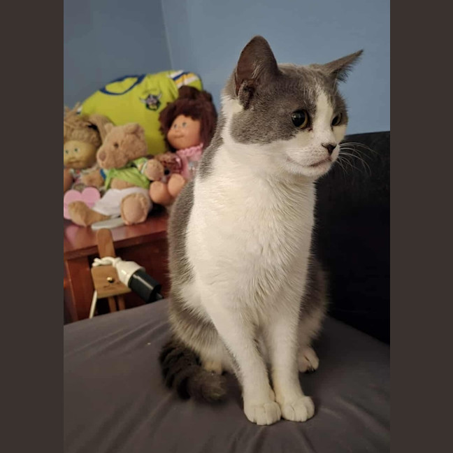 Photo of Minnie