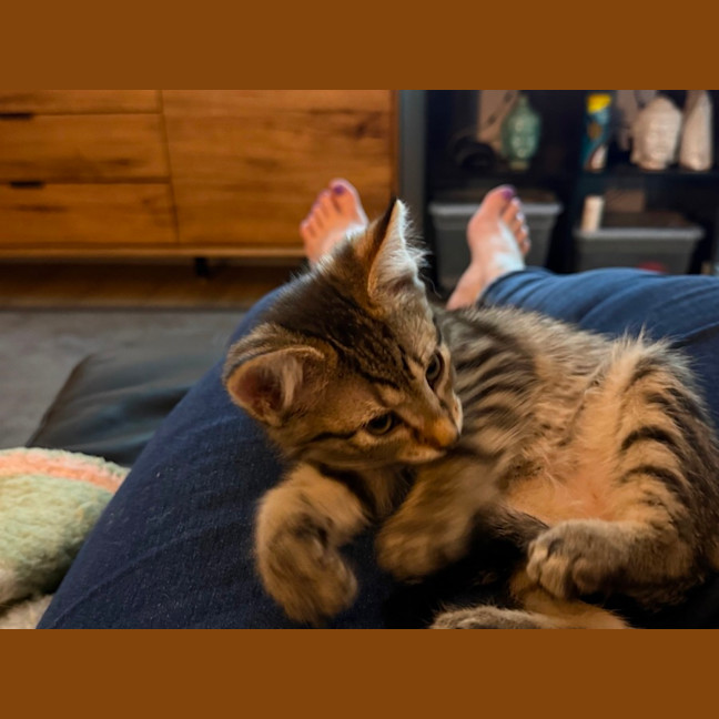 Photo of Rosie