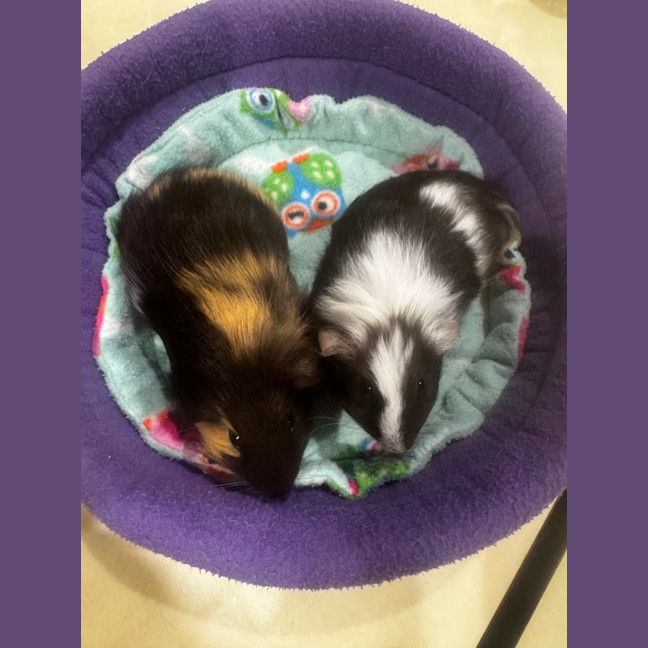 Photo of Jimmy & Gordon