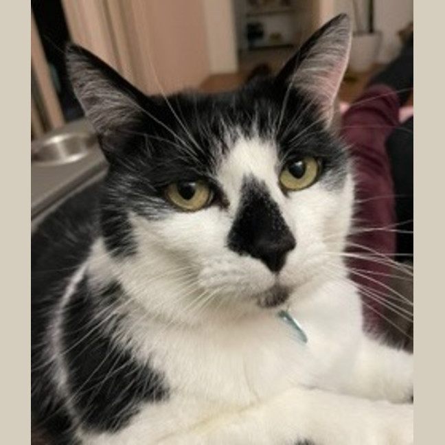 Photo of Snuggles