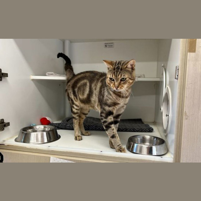 Photo of Millicent