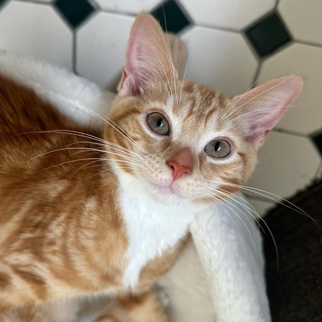 Photo of Mabel And Clifford