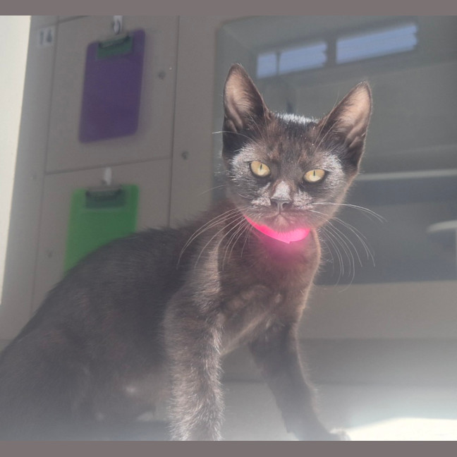 Photo of Mary (9202)