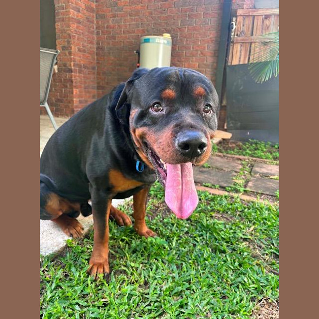 Photo of Onyx