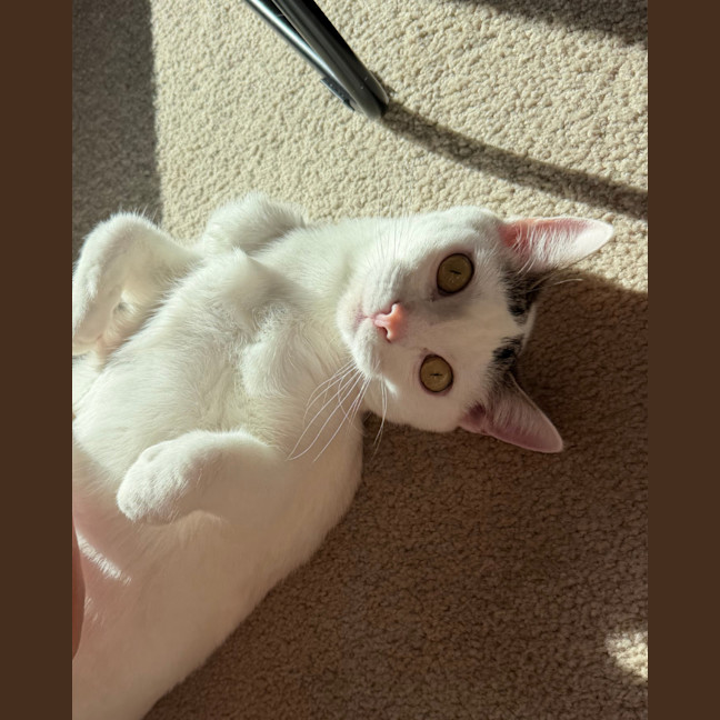 Photo of Agatha