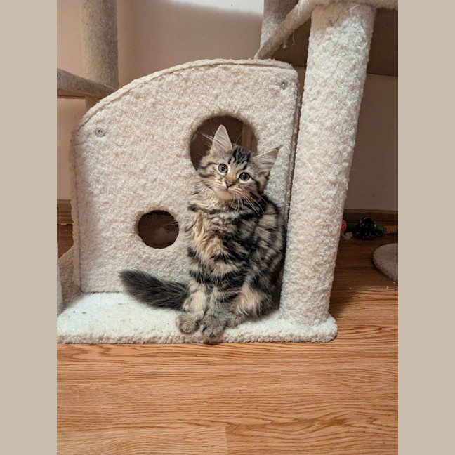 Photo of Rosalita