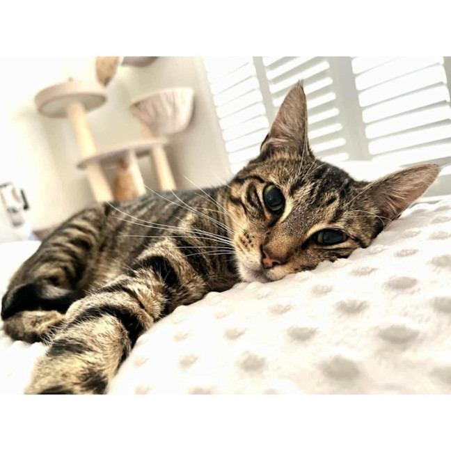 Photo of 8124   Marceline