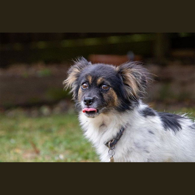 Photo of Betsy Moriarty