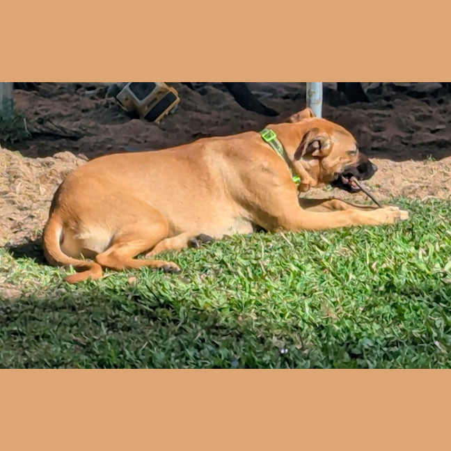 Photo of Cassie