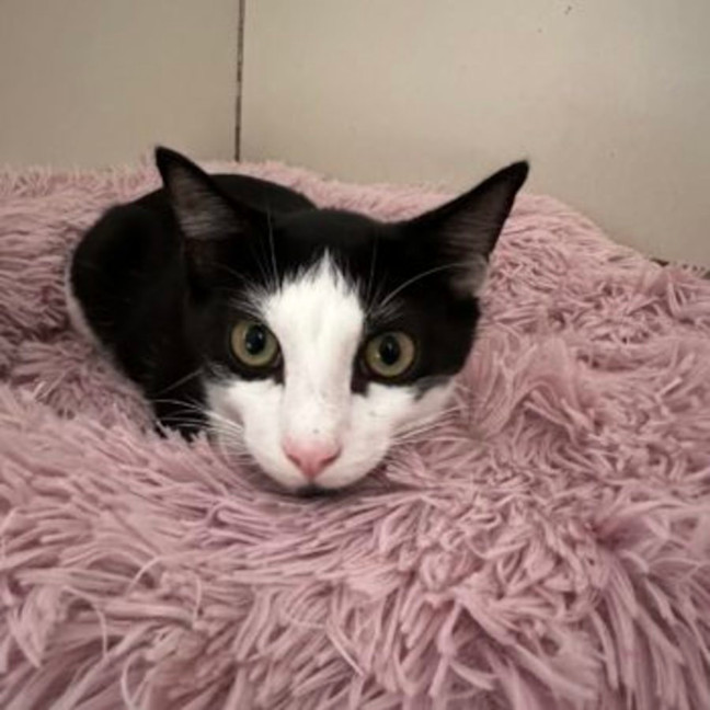 Photo of Lucky And Sosage